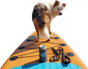 Riley Outdoors Unleash Your Adventure